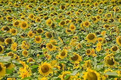 《赛博朋克2077》《霍格沃茨之遗》Switch 2上手实机